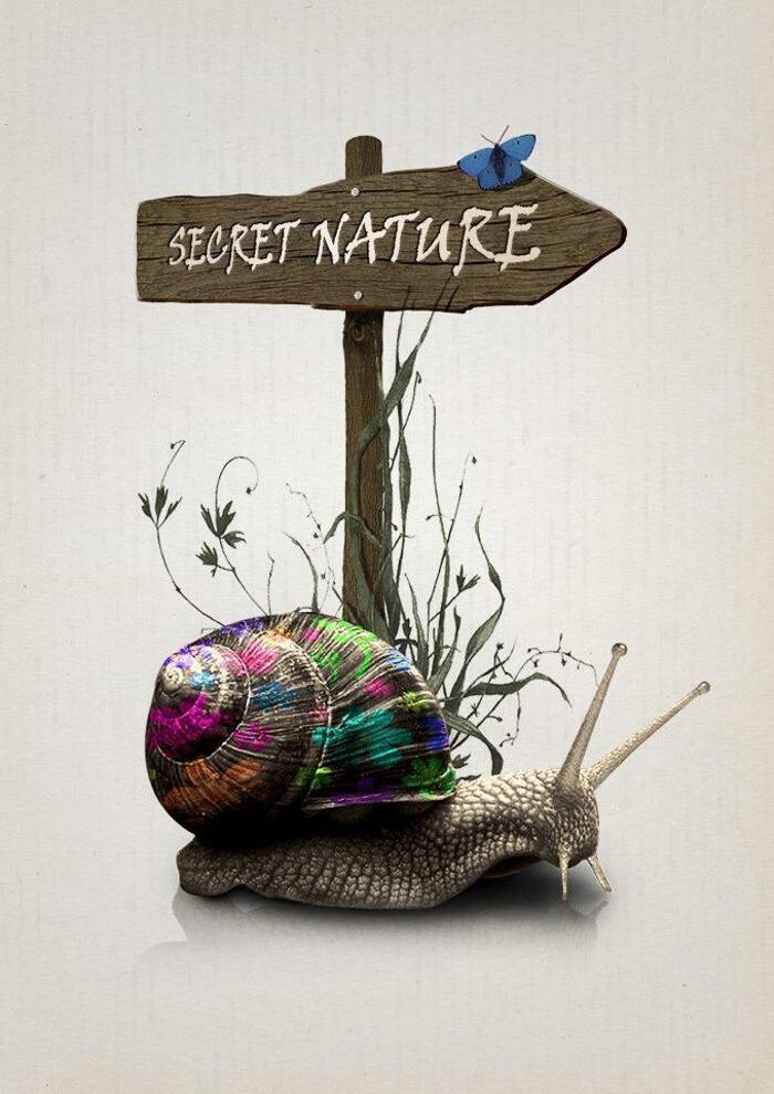 Bilder Secret Nature Thun