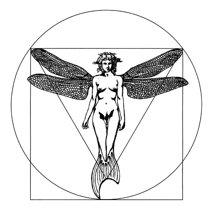 Bilder Secret Nature Thun