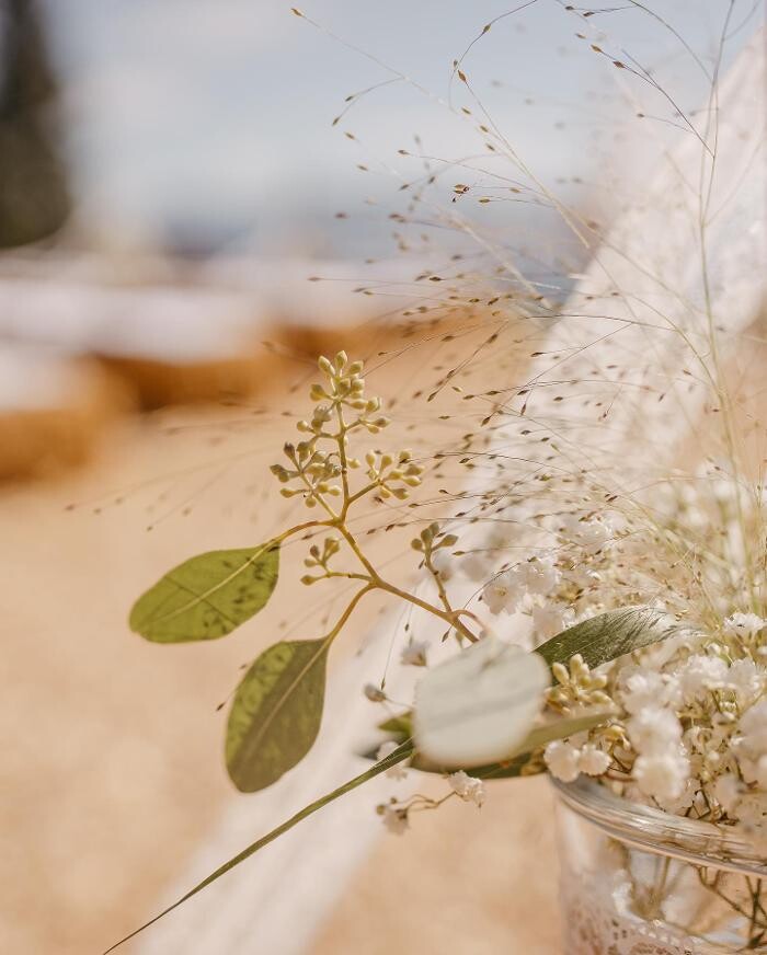 Bilder Blüten-Bijou