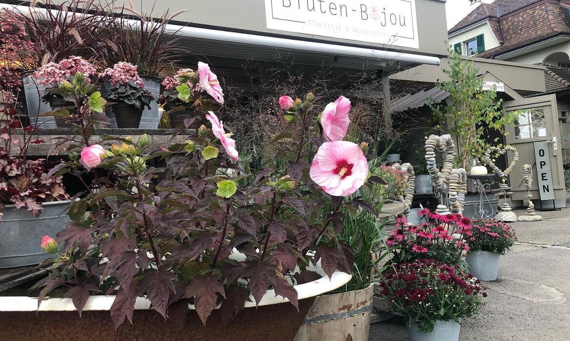 Bilder Blüten-Bijou