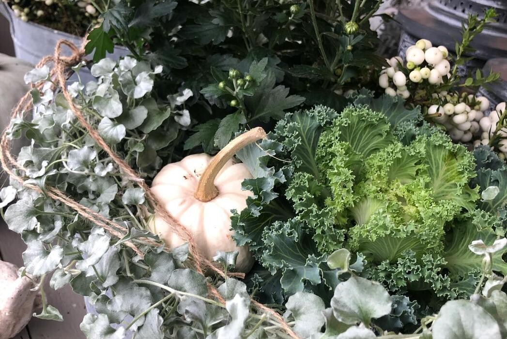 Bilder Blüten-Bijou