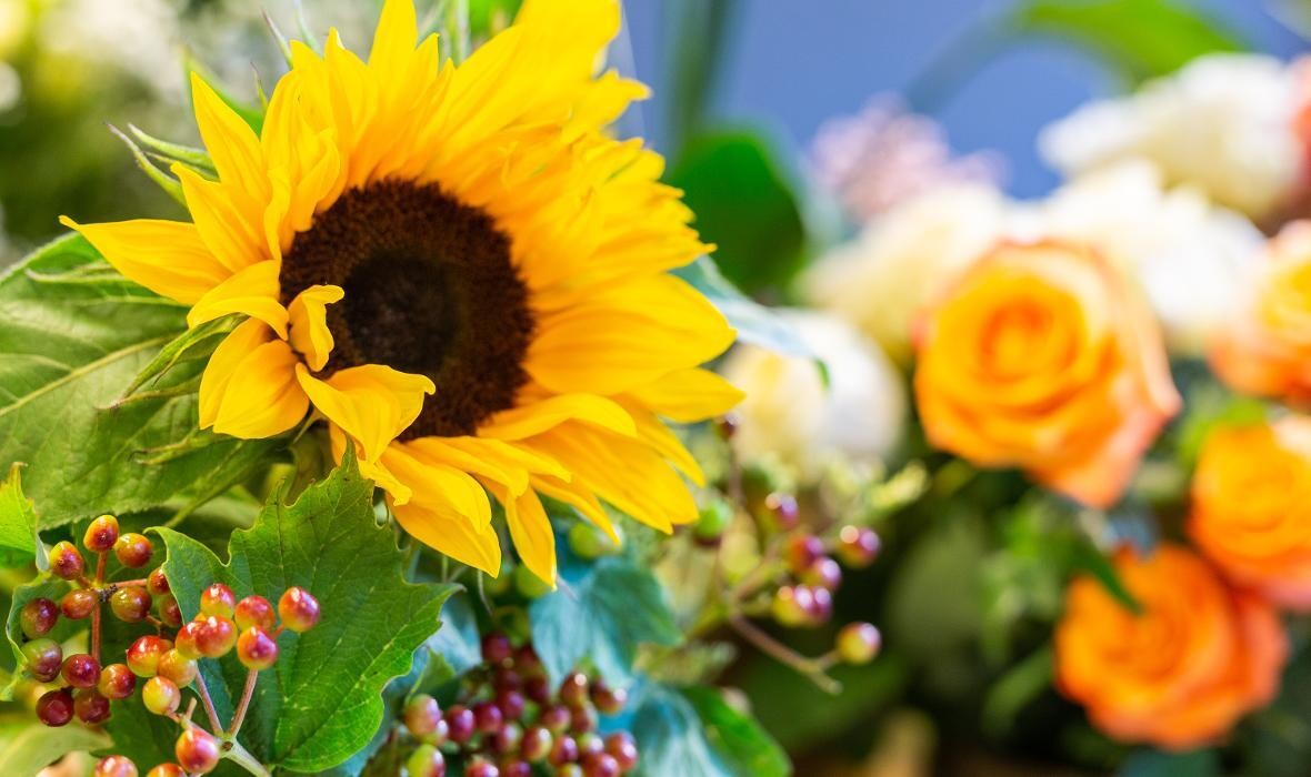 Bilder Linder Blumen am Bahnhofplatz in Aarau