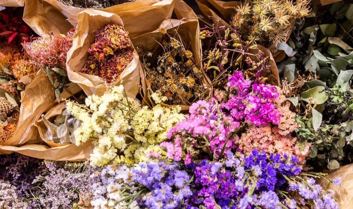 Bilder Linder Blumen am Bahnhofplatz in Aarau