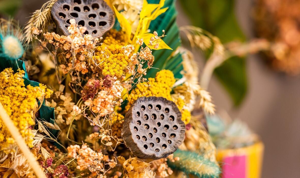 Bilder Linder Blumen am Bahnhofplatz in Aarau