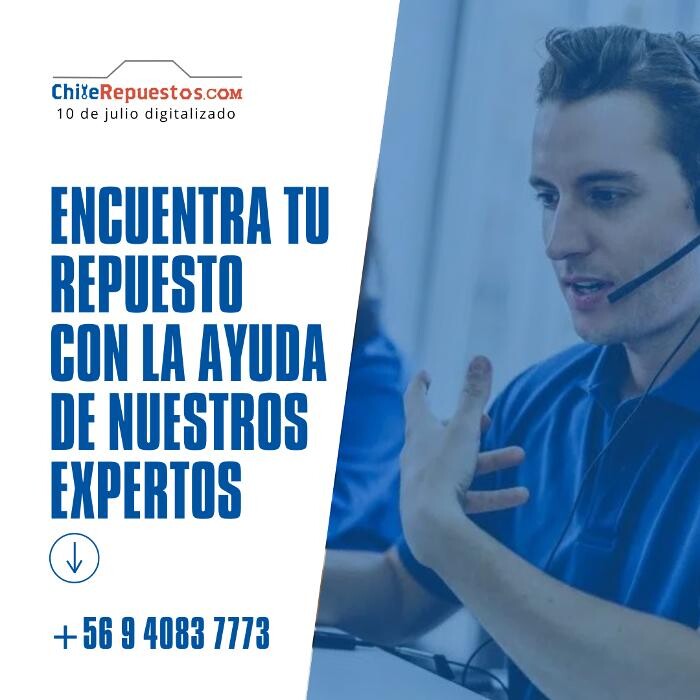 Images Chile Repuestos - Avenida 10 de Julio 479