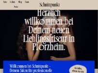 Website Screenshot Schnittpunkt GmbH