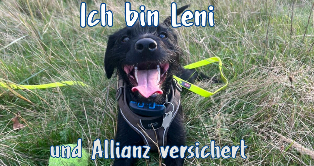 Bilder Allianz-Versicherung Generalvertretung Frank Schneider