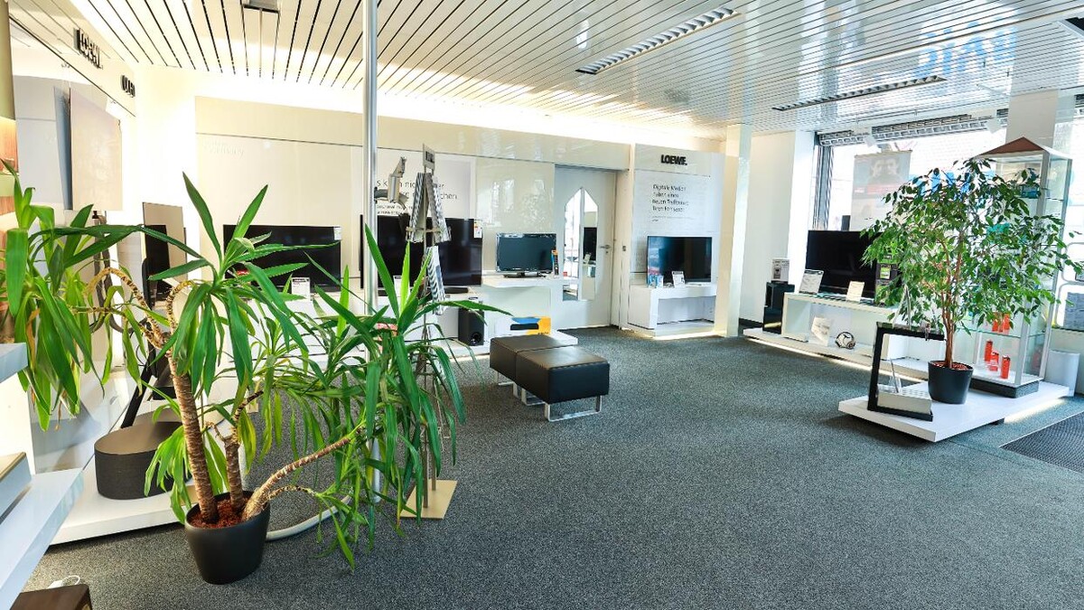 Bilder media@home Richter