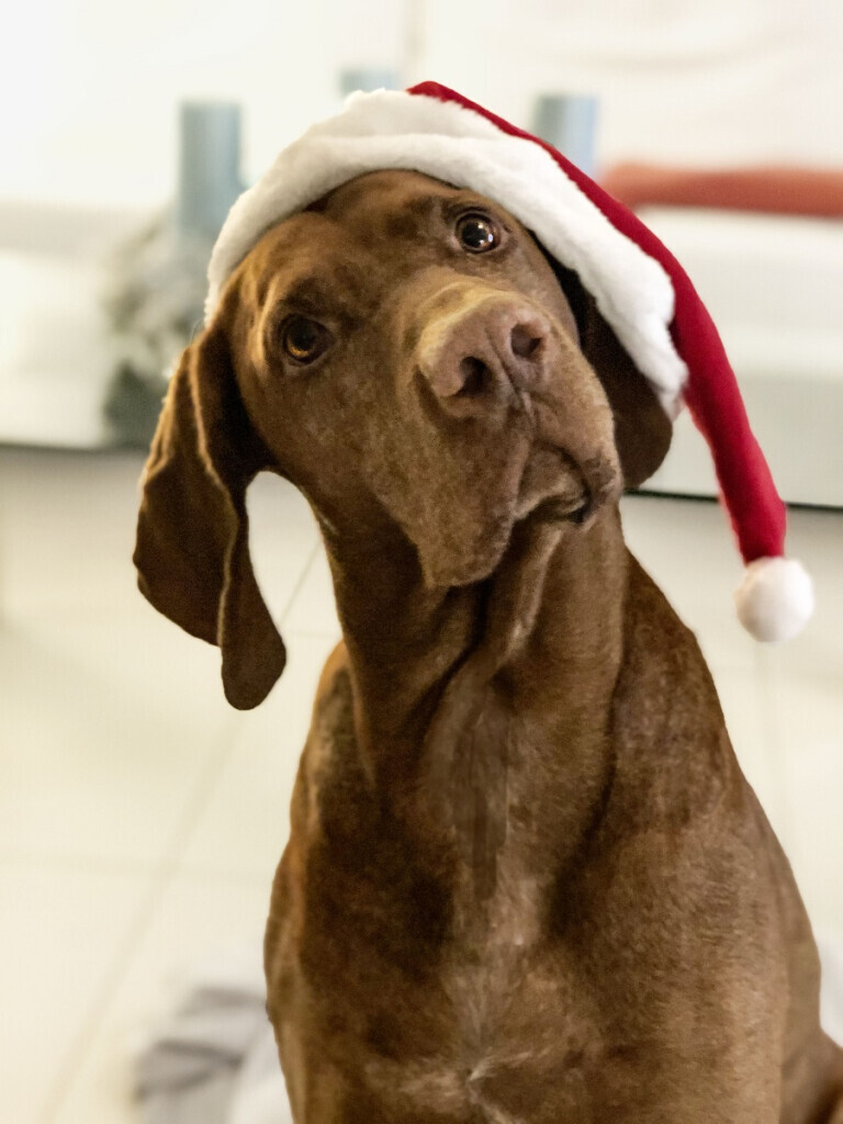 Bilder Hotel Gasthaus Franke in Ahaus-Alstätte