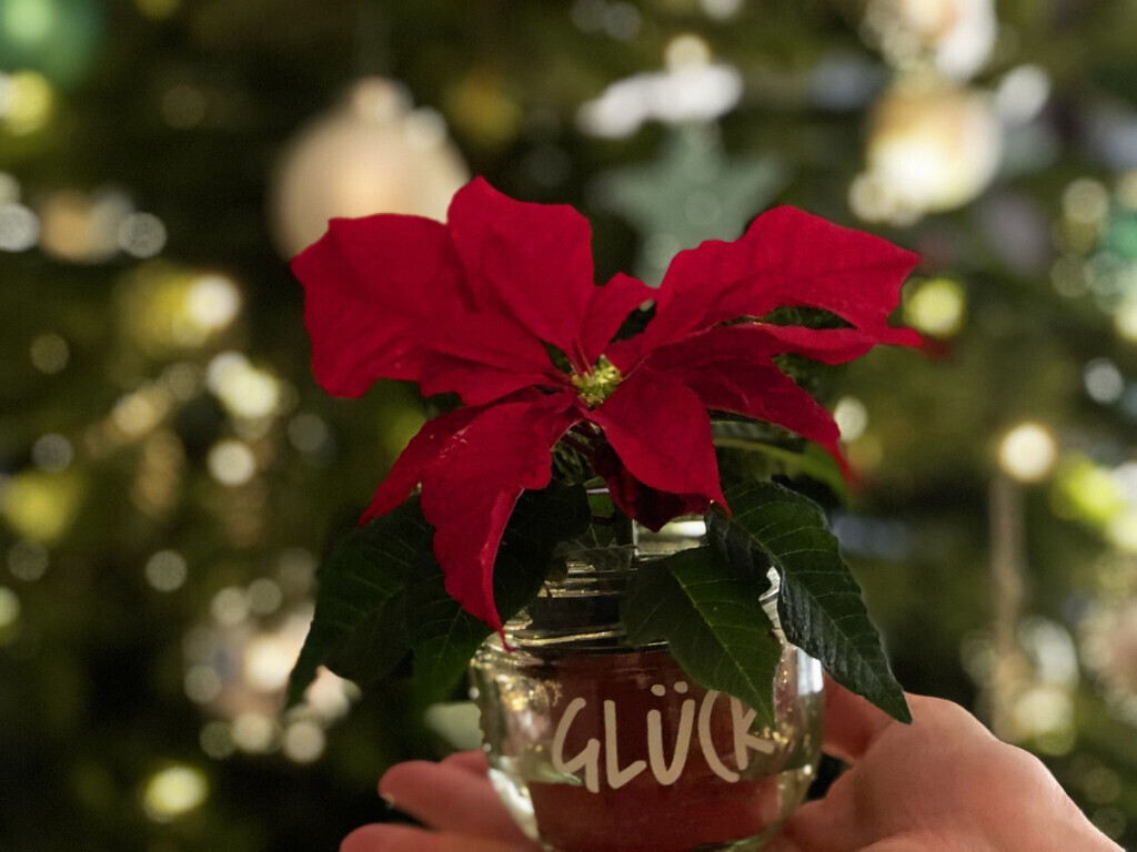 Bilder Hotel Gasthaus Franke in Ahaus-Alstätte