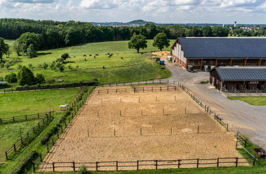 Bilder Gut Neuhaus | Erstes Aachener Reitsportcenter