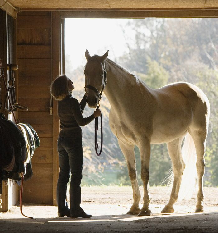 Bilder Guido Daasch Rechtsanwalt für  Arbeitsrecht  - Verkehrsrecht Schwanewede - Bremen