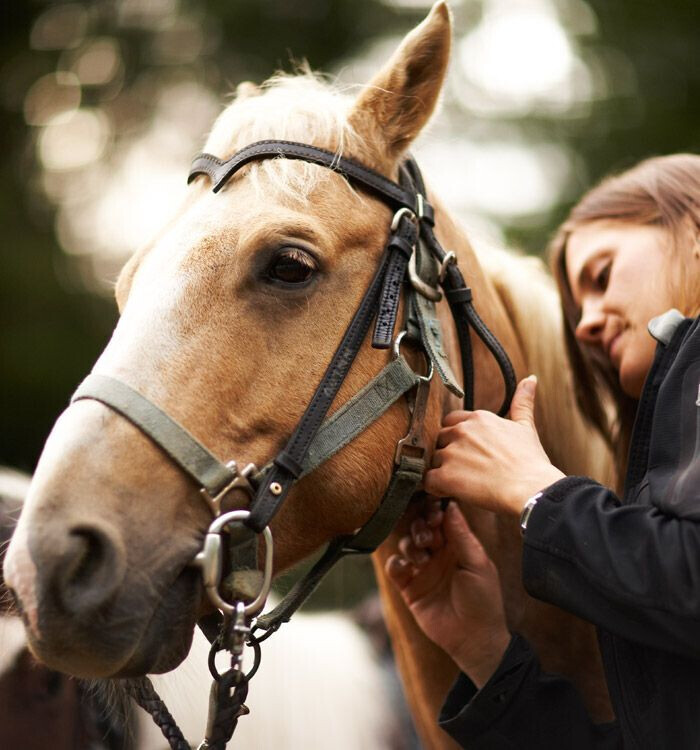 Bilder Guido Daasch Rechtsanwalt für  Arbeitsrecht  - Verkehrsrecht Schwanewede - Bremen