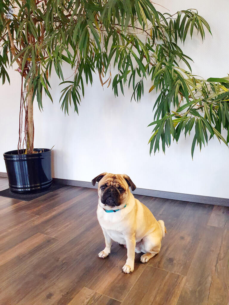 Bilder Blasinski Immobilien