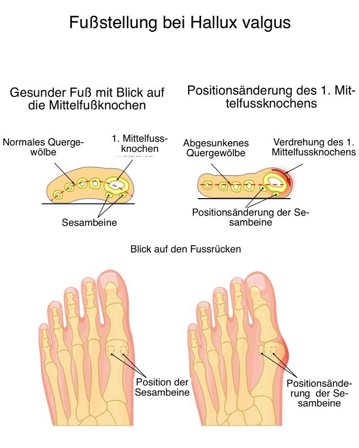 Bilder Dr. med. Thomas Hartmann - Arztpraxis für ganzheitliche Medizin