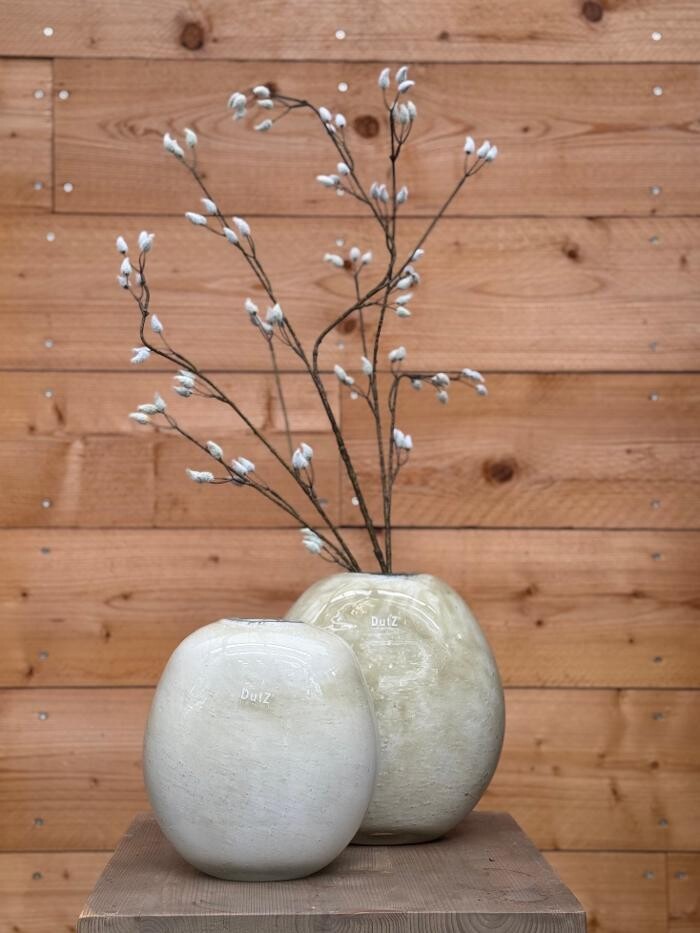 Bilder Pflanzen Peikert | Gartencenter - Gartengestaltung - Floristik - Blumen
