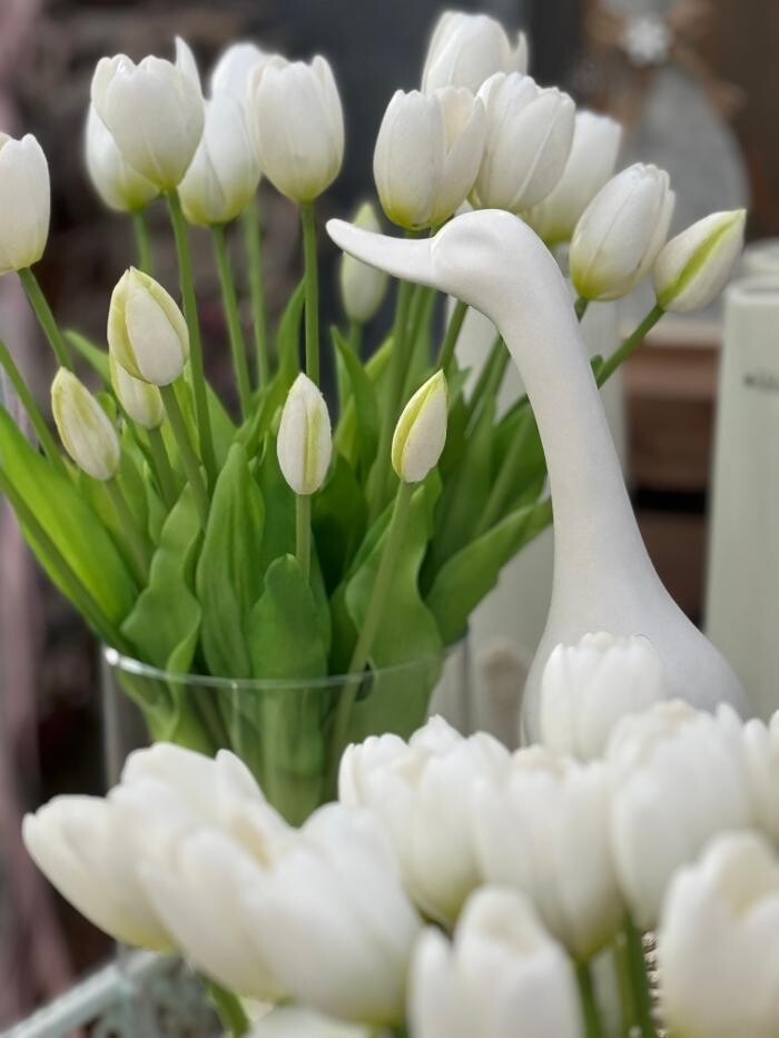 Bilder Pflanzen Peikert | Gartencenter - Gartengestaltung - Floristik - Blumen