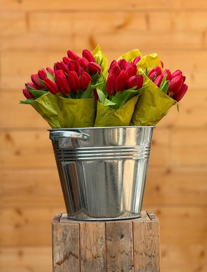 Bilder Pflanzen Peikert | Gartencenter - Gartengestaltung - Floristik - Blumen