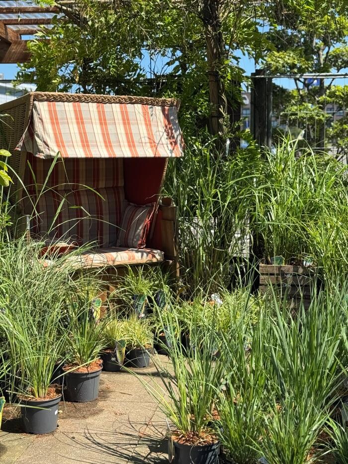 Bilder Pflanzen Peikert | Gartencenter - Gartengestaltung - Floristik - Blumen