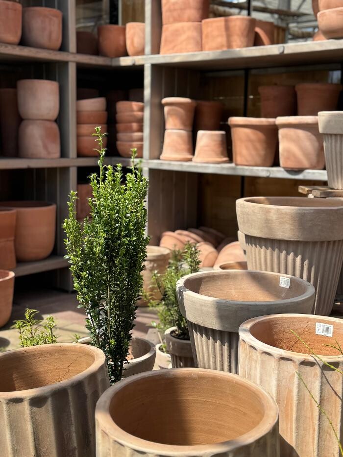 Bilder Pflanzen Peikert | Gartencenter - Gartengestaltung - Floristik - Blumen