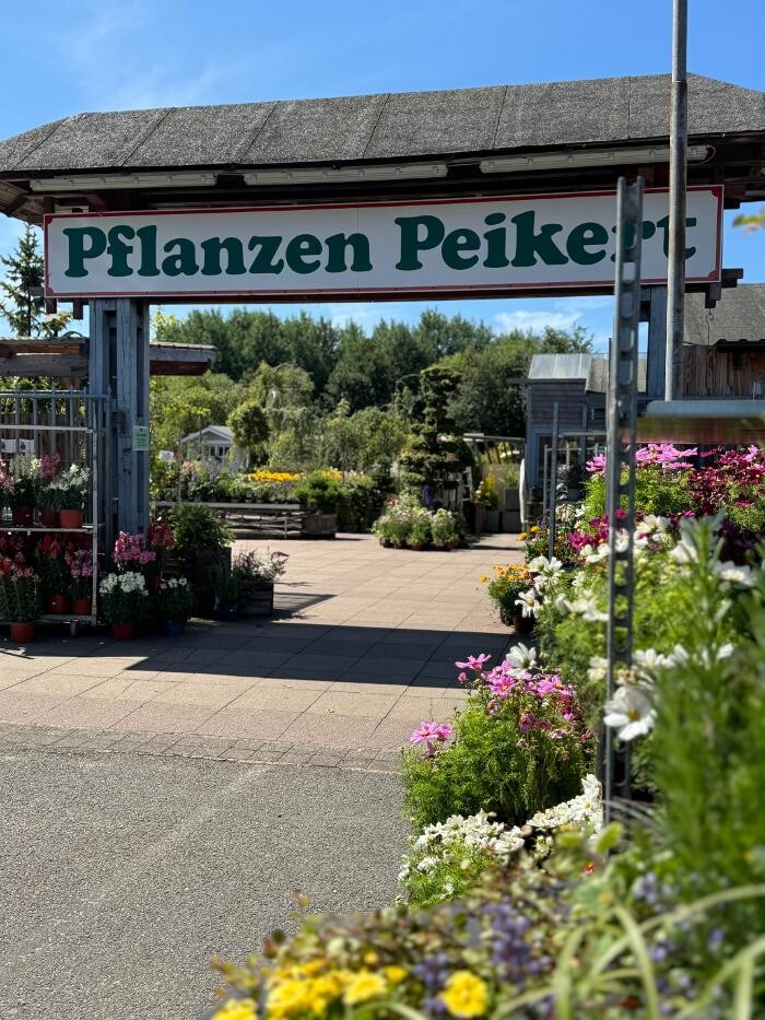 Bilder Pflanzen Peikert | Gartencenter - Gartengestaltung - Floristik - Blumen