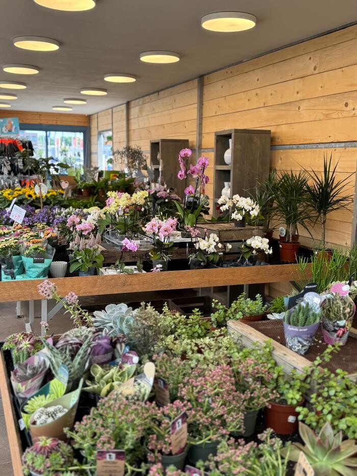 Bilder Pflanzen Peikert | Gartencenter - Gartengestaltung - Floristik - Blumen