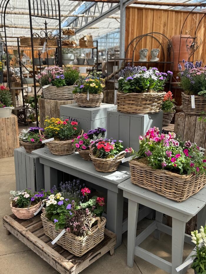 Bilder Pflanzen Peikert | Gartencenter - Gartengestaltung - Floristik - Blumen