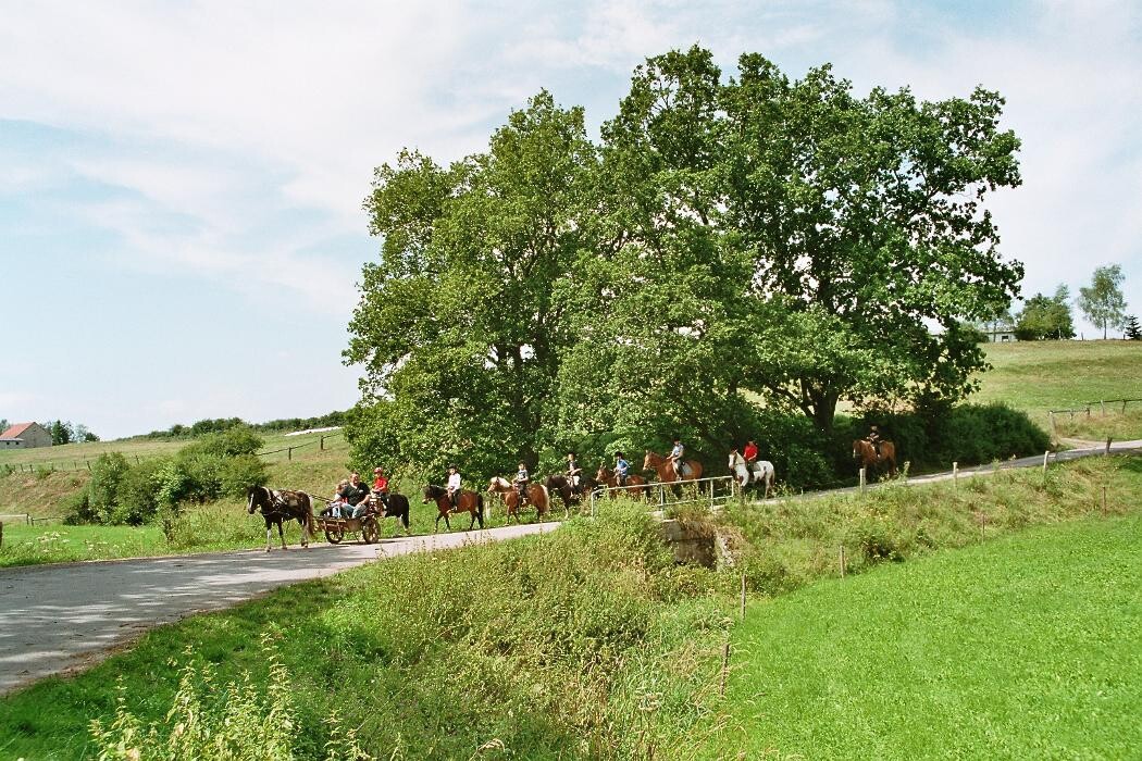 Bilder Reiterlandhof Kamm