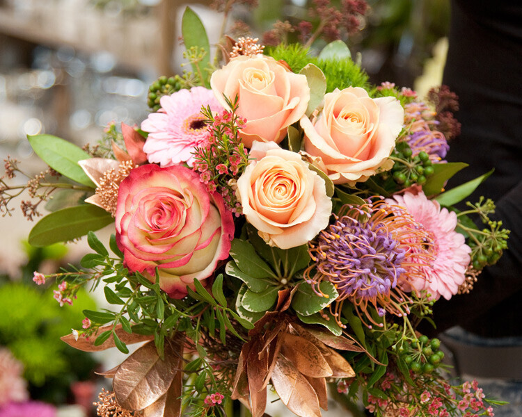 Bilder Blumenhaus Andreas Fischer