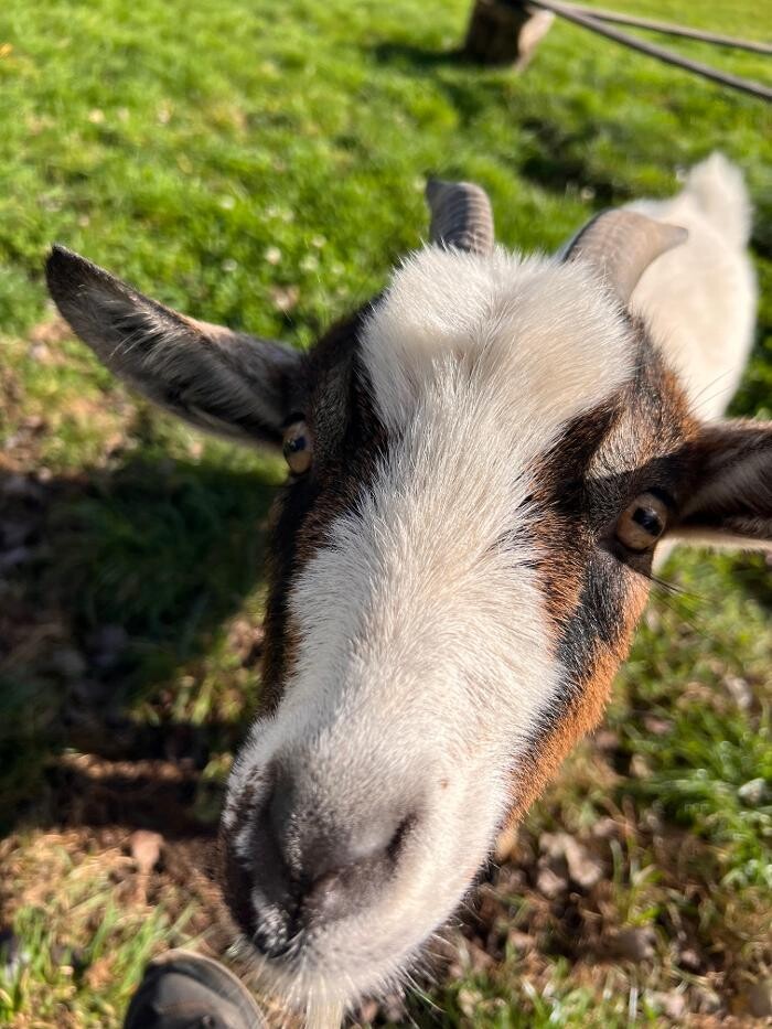 Bilder Outback-Lindlar