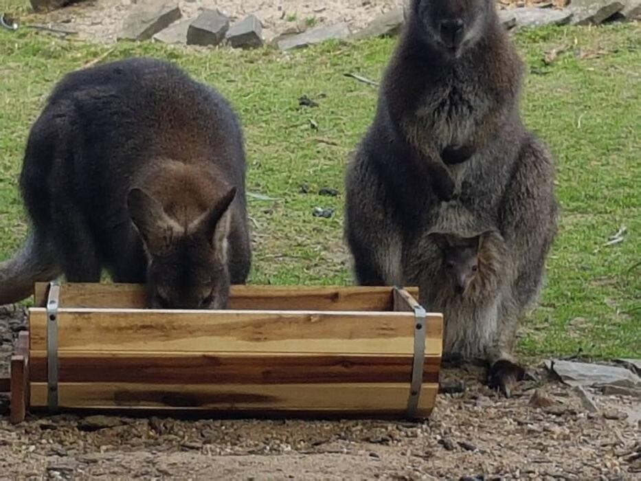 Bilder Outback-Lindlar