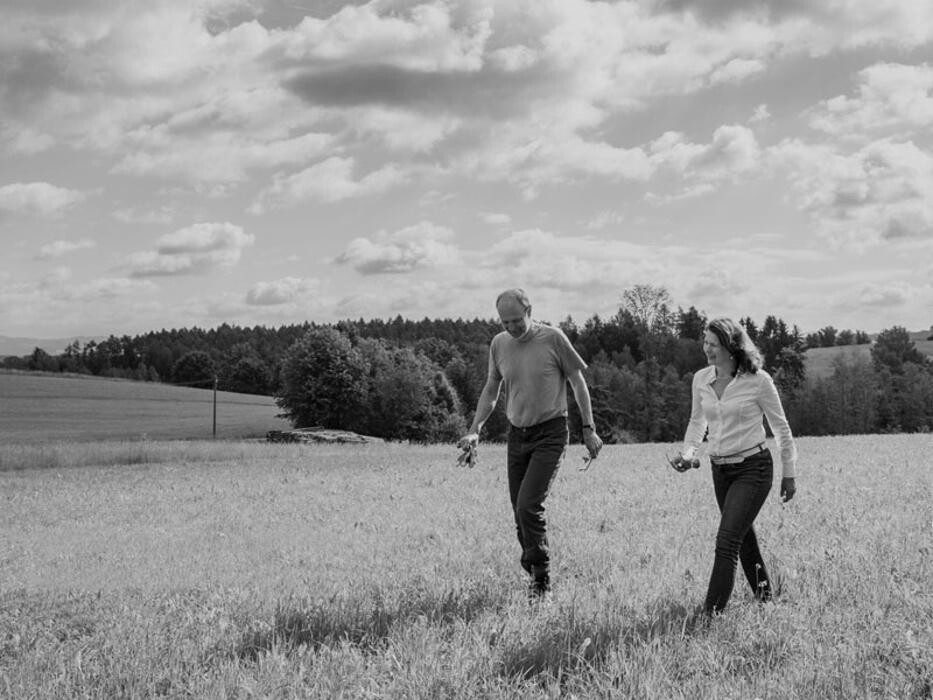 Bilder Stangl & Kollegen Rechtsanwälte