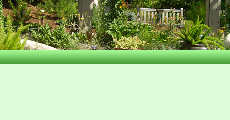 Bilder Kähler GartenBaumschule