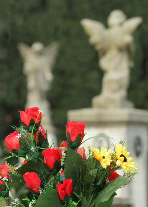 Bilder Bestattungsinstitut Wellner