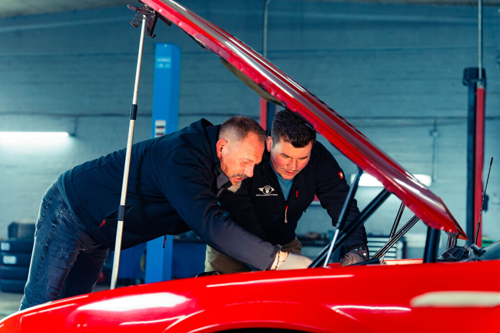 Bilder Gorilla Werkstatt GmbH