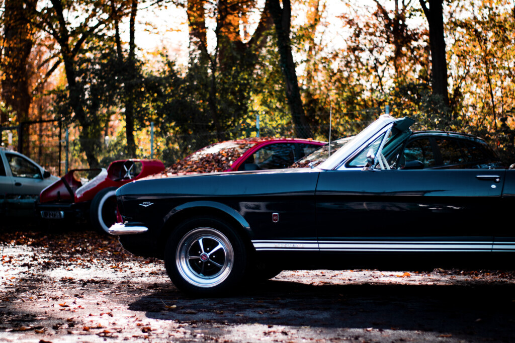 Bilder Gorilla Werkstatt GmbH