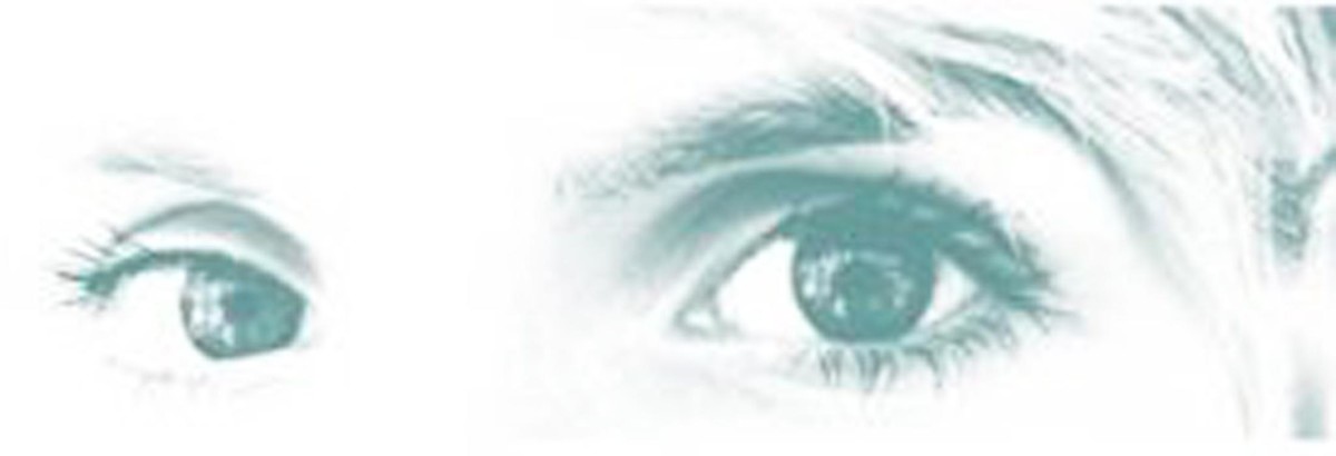 Bilder Bergermann Brille + Linse