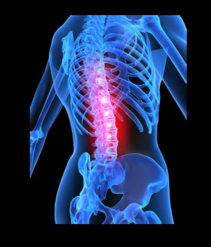 Bilder Praxis für Manuelle Therapie, Osteopathie, Physiotherapie, Sporttherapie und Naturheilkunde Christian Harner