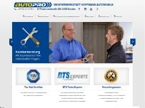 Website Screenshot HOFFMANN-AUTOMOBILE