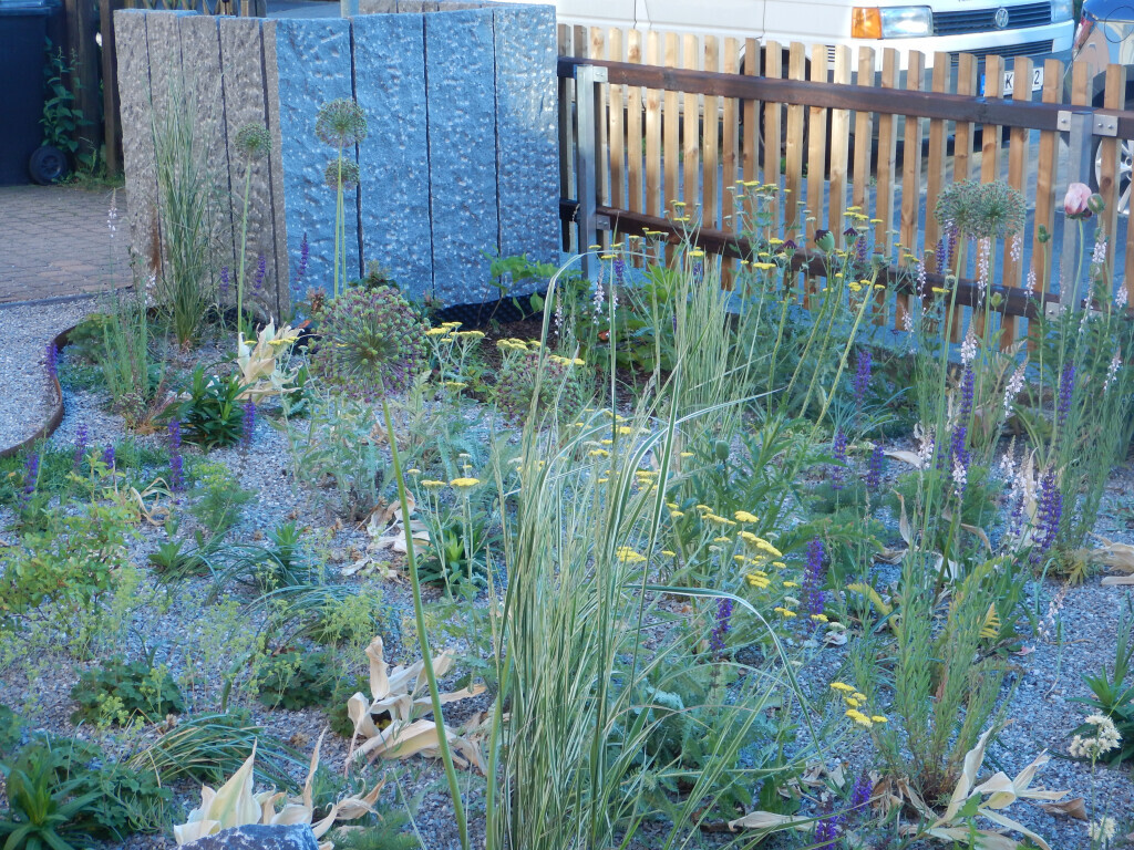 Bilder Wicke.Gärten