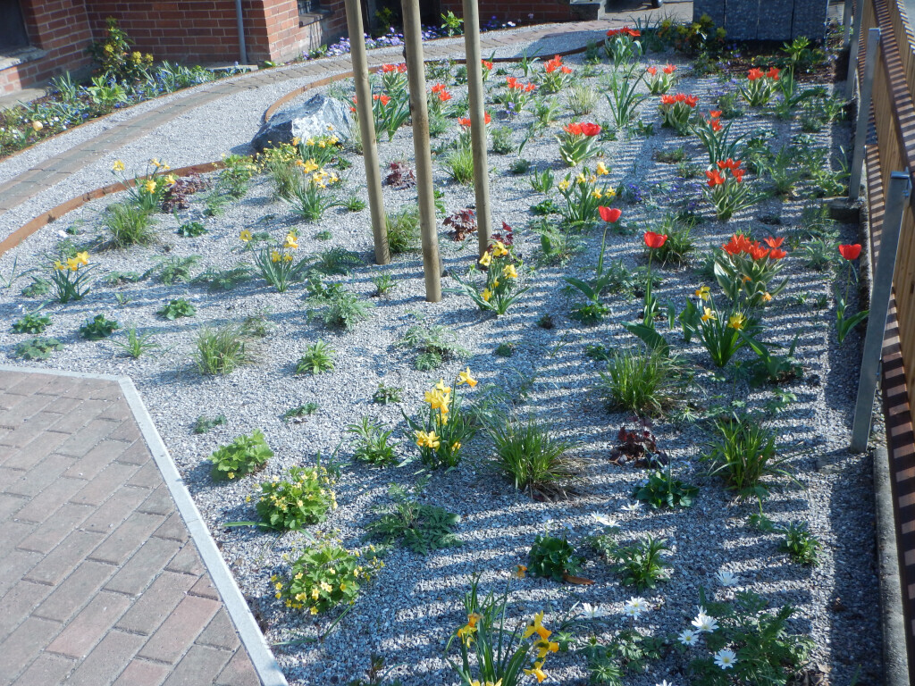 Bilder Wicke.Gärten