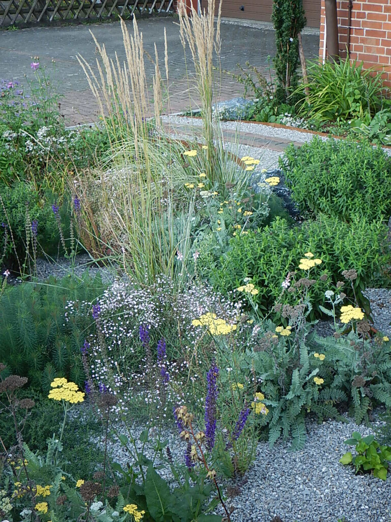 Bilder Wicke.Gärten