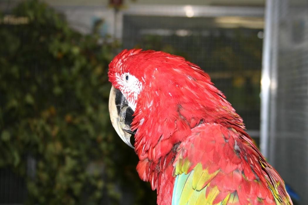 Bilder Zoofachgeschäft Schlanstedt