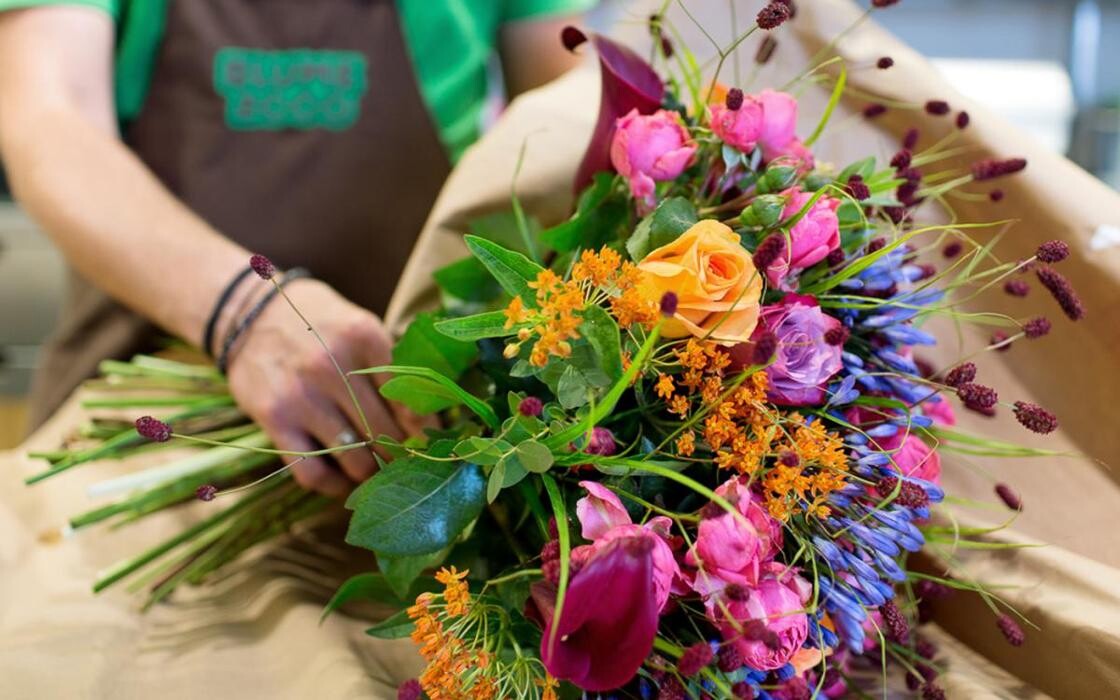 Bilder BLUME2000 Lippstadt