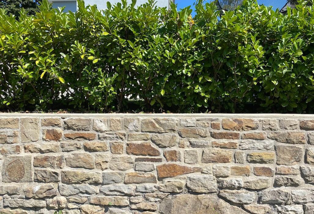 Bilder Gartenbau und Baumpflege Kammesheidt