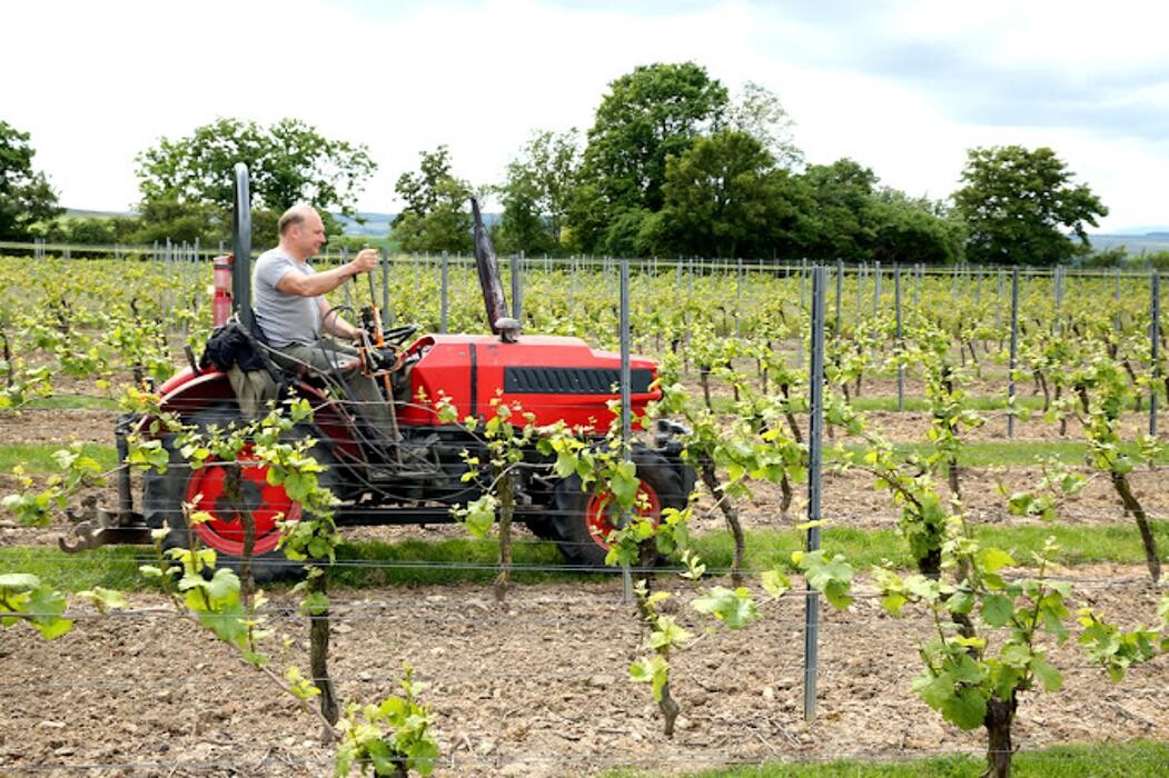 Bilder Weingut Hermann Kern
