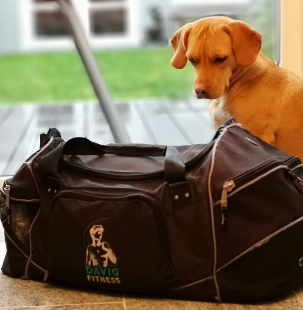 Bilder David Fitness