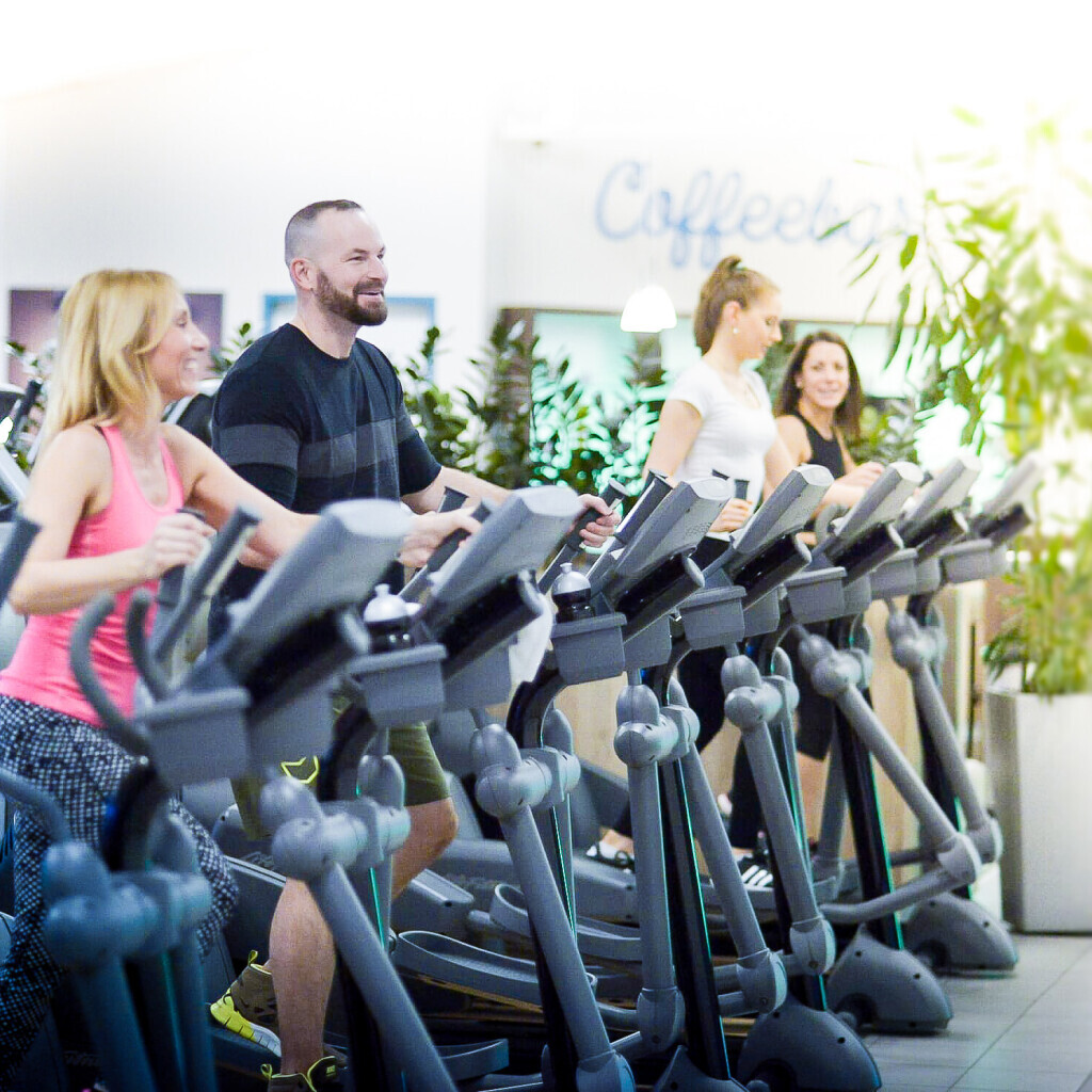 Bilder David Fitness