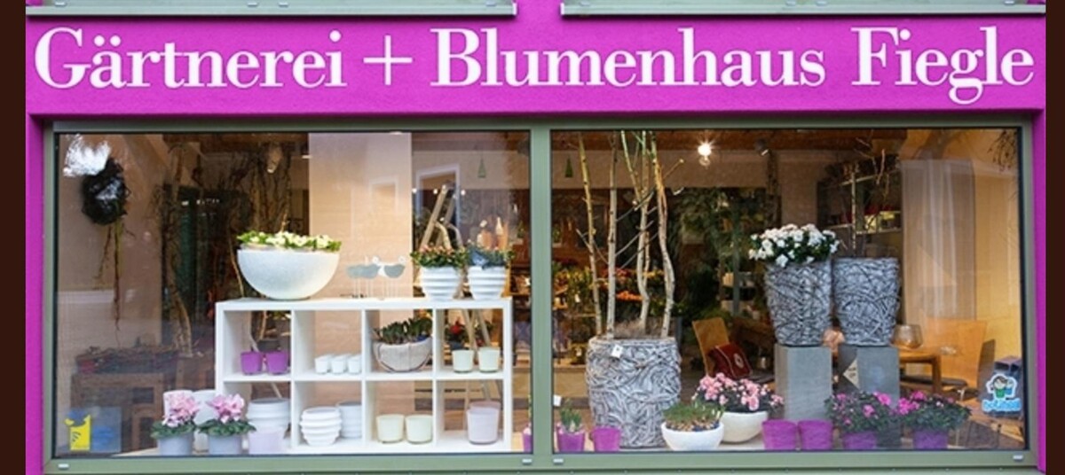 Bilder Fiegle Gärtnerei und Blumenhaus