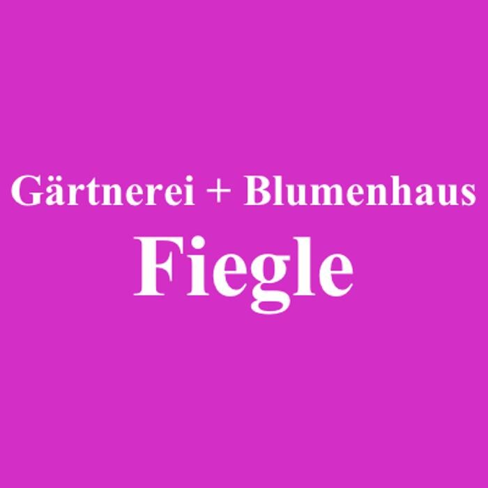 Bilder Fiegle Gärtnerei und Blumenhaus